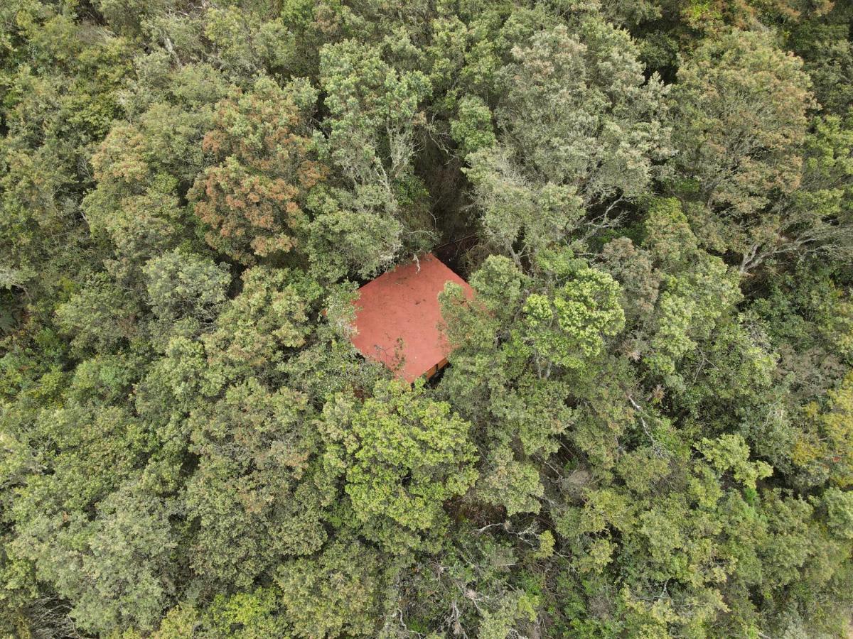 Mirador Bosque Gran Torino Neusa Cogua Exterior photo