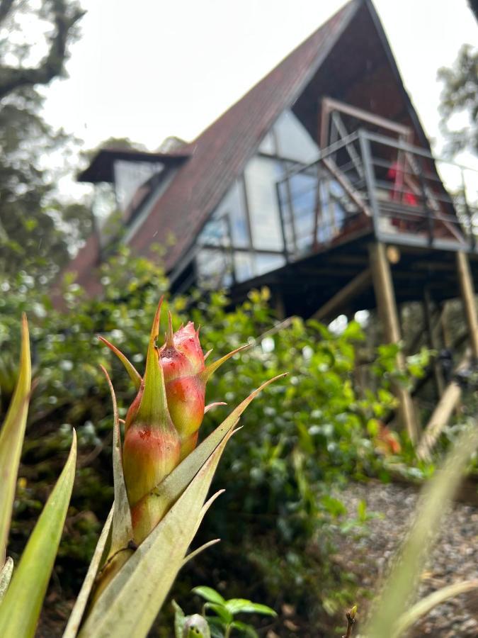 Mirador Bosque Gran Torino Neusa Cogua Exterior photo
