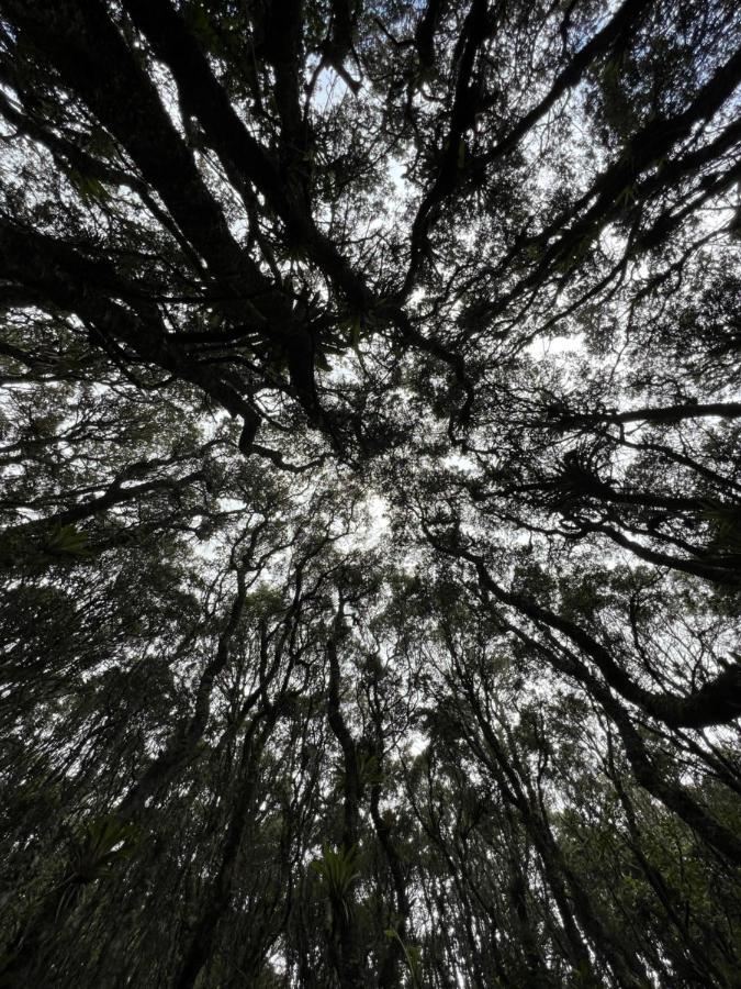 Mirador Bosque Gran Torino Neusa Cogua Exterior photo
